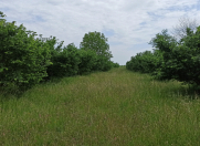 Satılır 174 sot torpaq Qusar