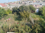 Satılır 5 sot torpaq Nübar