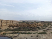 Satılır 6 sot torpaq Şirvan