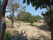 Satılır 14 sot torpaq Saray