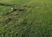 Satılır 6 sot torpaq Quba