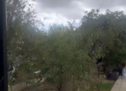 Satılır 2 sot torpaq Koroğlu Parkı