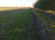 Satılır 857 sot torpaq Şabran