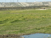 Satılır 300 sot torpaq Məhəmmədli