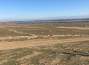 Satılır 800 sot torpaq Abşeron Gənclər Şəhərciyi