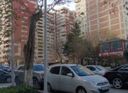 Satılır 2 otaqlı 117 m2 yeni tikili Gənclik m.