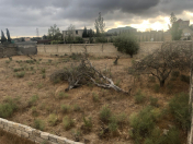 Satılır 12 sot torpaq Şıxov