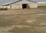 Satılır 56500 sot torpaq Samux