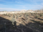 Satılır 10 sot torpaq Qala