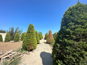 Satılır 10 sot torpaq Mərdəkan