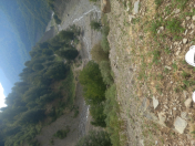 Satılır 3 sot torpaq Qəbələ