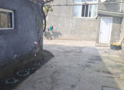 Satılır 6 otaqlı 137 m2 həyət evi Zaqatala