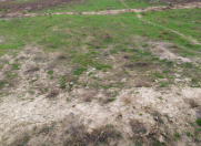 Satılır 3 sot torpaq Biləcəri