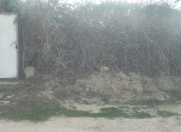 Satılır 4.5 sot torpaq Sumqayıt