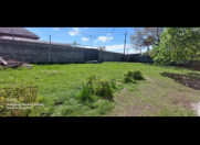 Satılır 5 otaqlı 1000 m2 həyət evi Oğuz