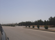 Satılır 100 sot torpaq Hökməli