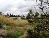 Satılır 11 sot torpaq Bilgəh