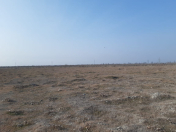 Satılır 1000 sot torpaq Ağdaş