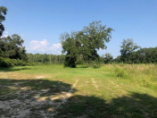 Satılır 250 sot torpaq Lənkəran