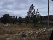 Satılır 8 sot torpaq Binə