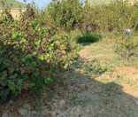 Satılır 8 sot torpaq Sumqayıt