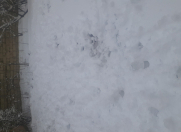 İcarəyə verilir 3 otaqlı 100 m2 həyət evi Xırdalan