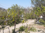 Satılır 8 sot torpaq Novxanı