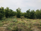 Satılır 150 sot torpaq Xaçmaz