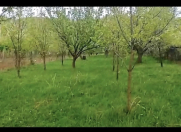 Satılır 10 sot torpaq Sabirabad