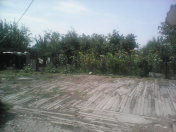 Satılır 5 otaqlı 3000 m2 həyət evi İsmayıllı