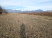 Satılır 1310 sot torpaq Zaqatala