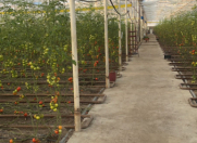 Satılır 10 otaqlı 8000 m2 obyekt Buzovna