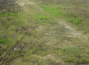 Satılır 6 sot torpaq Mehdiabad