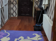 Satılır 4 otaqlı 200 m2 həyət evi Balakən