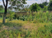 Satılır 4 sot torpaq Qəbələ