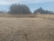 Satılır 15 sot torpaq Pirşağı