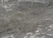 Satılır 24 sot torpaq Pirşağı