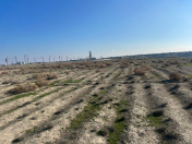 Satılır 150 sot torpaq Abşeron r.