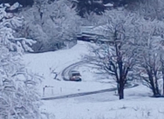 Satılır 15 sot torpaq Qəbələ