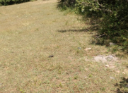 Satılır 6 sot torpaq Qusar