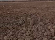 Satılır 46 sot torpaq Qəbələ