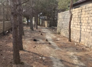 Satılır 6 sot torpaq Ceyranbatan