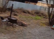 Satılır 3 sot torpaq İsmayıllı