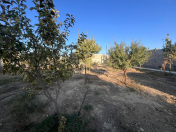 Satılır 5.3 sot torpaq Şüvəlan