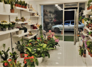 Satılır 1 otaqlı 40 m2 obyekt Nərimanov r.