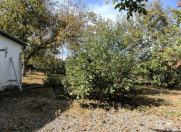 Satılır 5 otaqlı 140 m2 həyət evi İsmayıllı