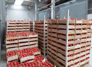 İcarəyə verilir 3 otaqlı 50 m2 obyekt Pirallahı