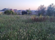 Satılır 10 sot torpaq Sumqayıt