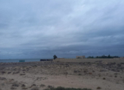 Satılır 150 sot torpaq Zirə