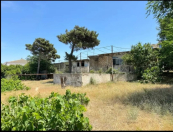 Satılır 24 sot torpaq Nardaran